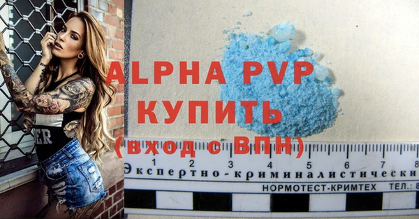 мяу мяу мука Инта