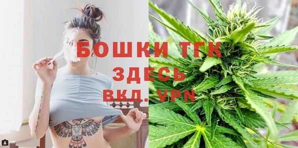 гидропоника Бородино