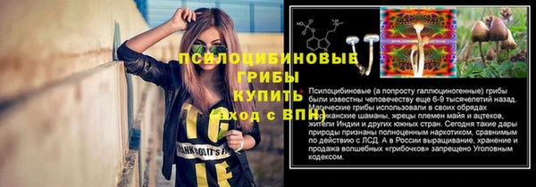 кокаин перу Богданович